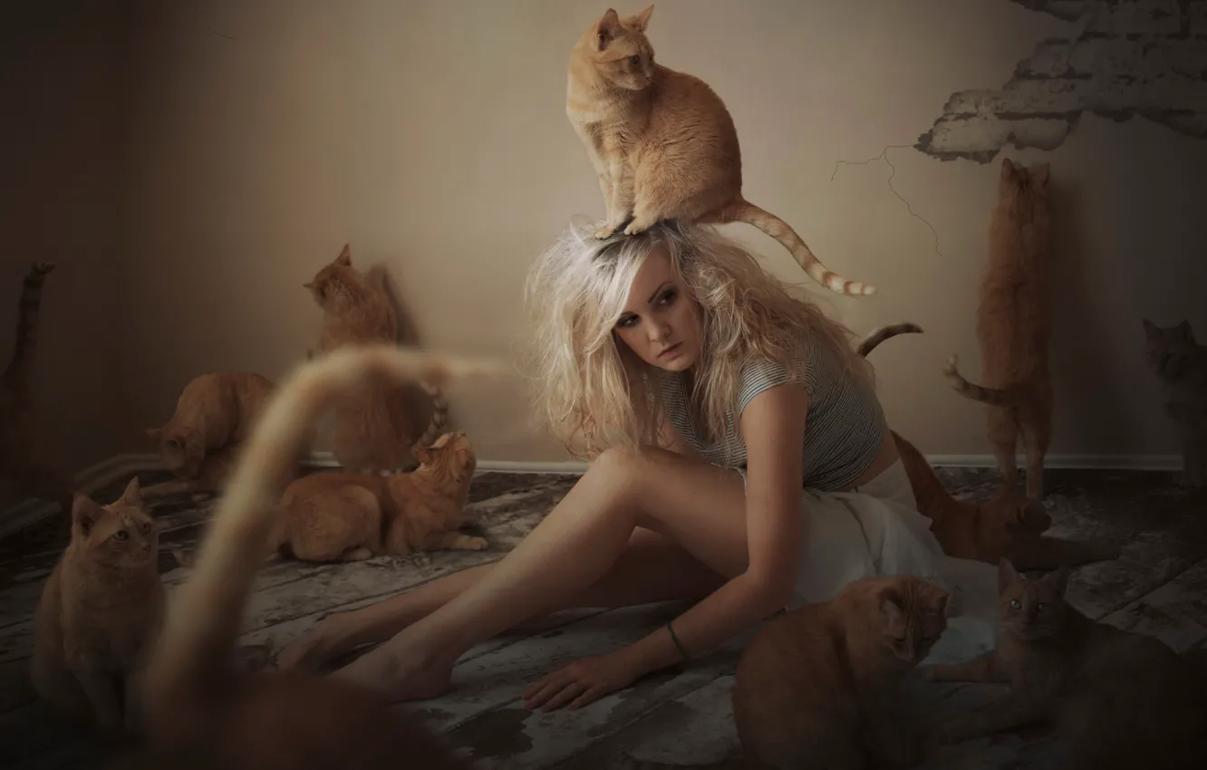 Photo wallpaper girl, cats, cats, red