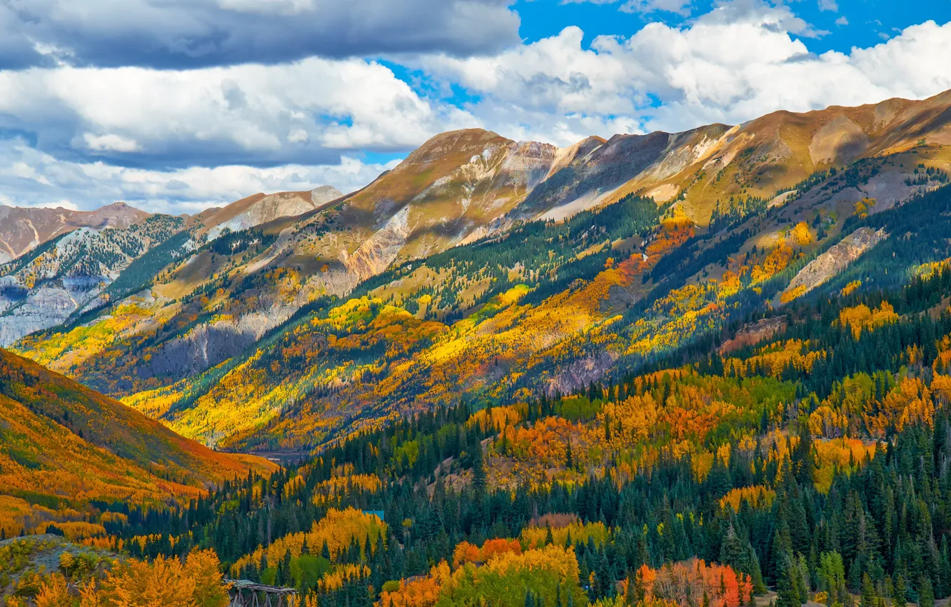 Photo wallpaper autumn, forest, the sky, clouds, trees, mountains