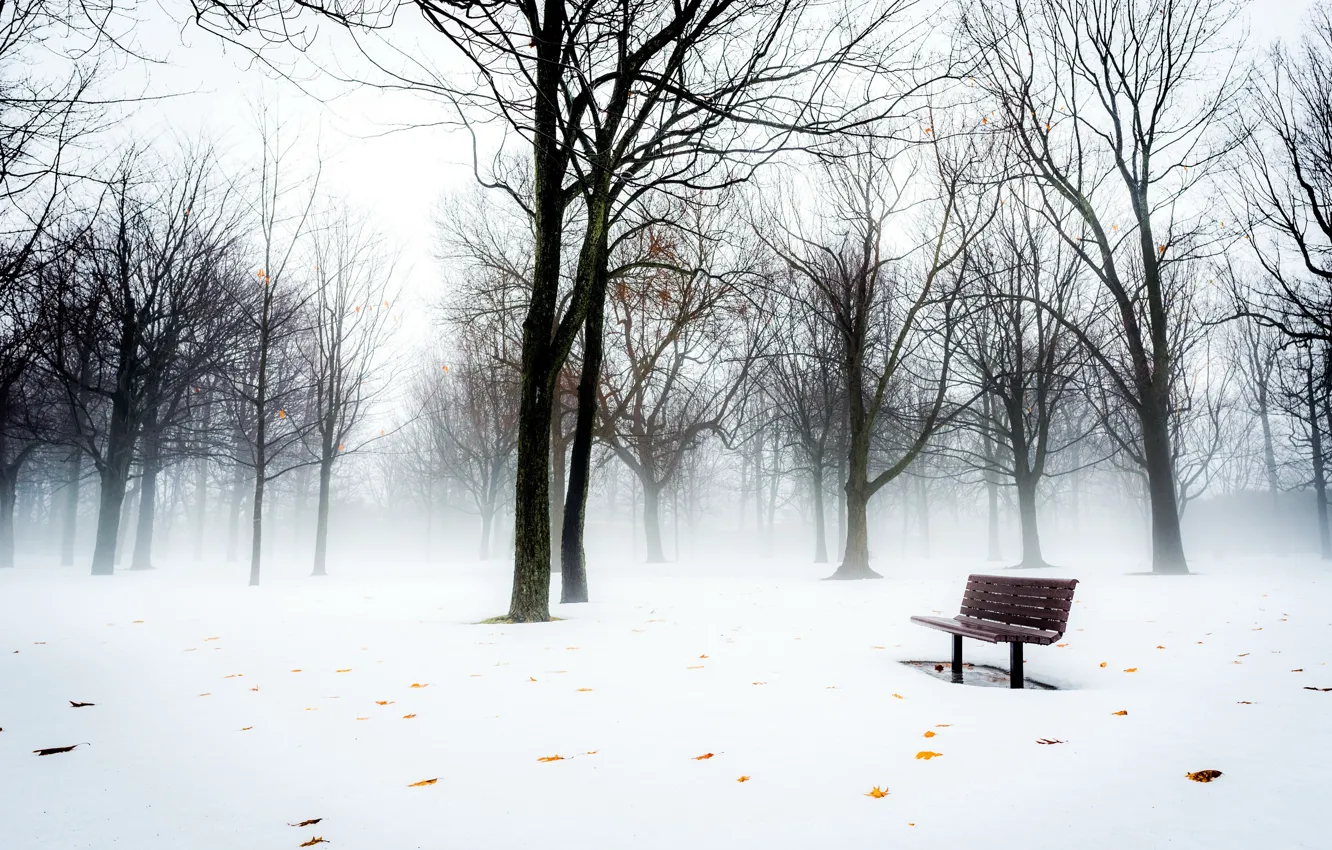 Photo wallpaper snow, fog, Park, bench