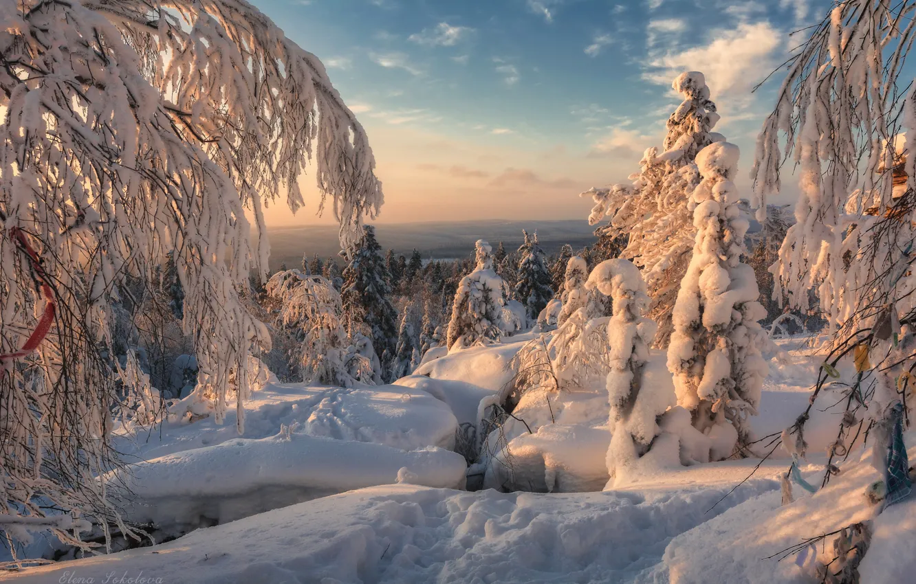 Photo wallpaper winter, snow, trees, landscape, sunset, mountains, nature, Perm Krai