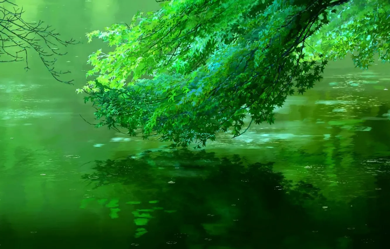 Photo wallpaper Reflection, Tree, River, Foliage