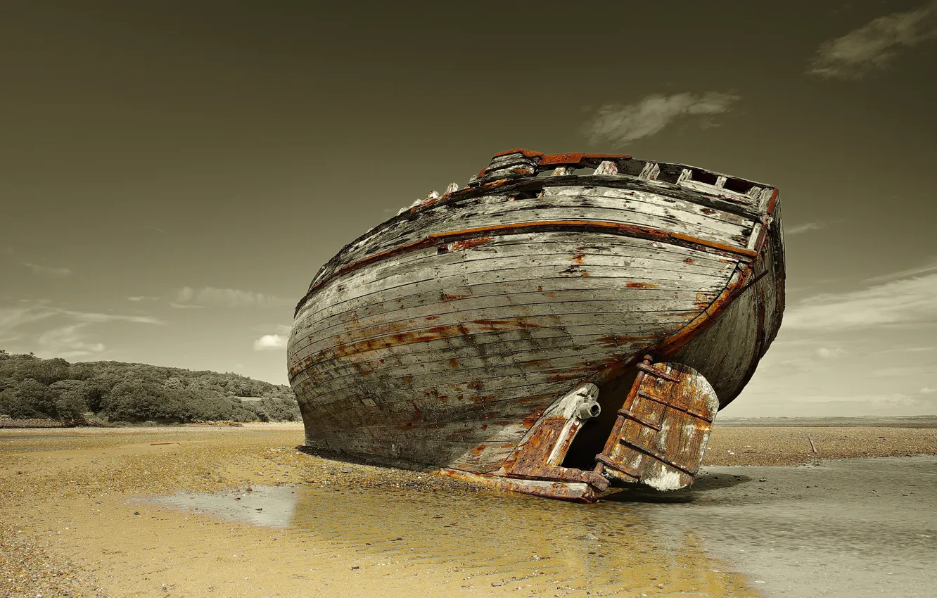 Photo wallpaper coast, wood, shore, ship, boat, stranded