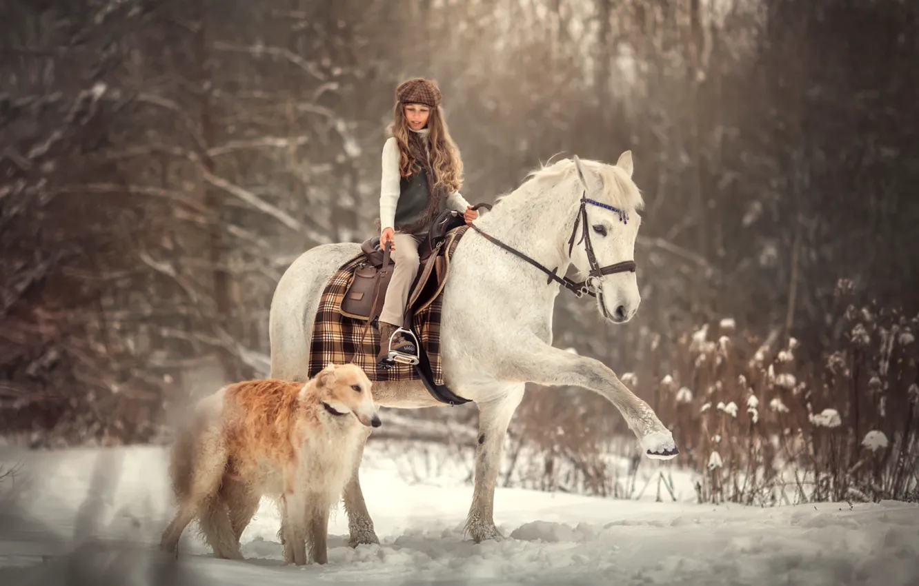 Photo wallpaper winter, snow, horse, dog, girl, rider