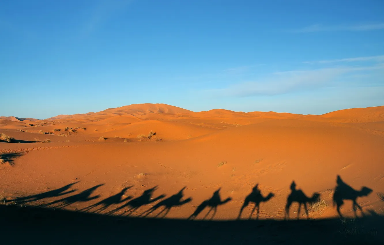 Photo wallpaper landscape, desert, caravan