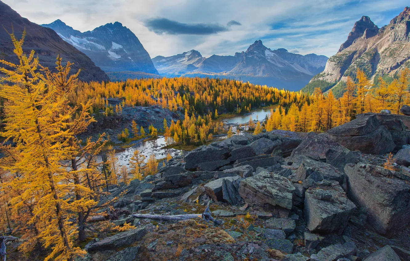 Photo wallpaper autumn, forest, the sky, clouds, trees, mountains, river, stones
