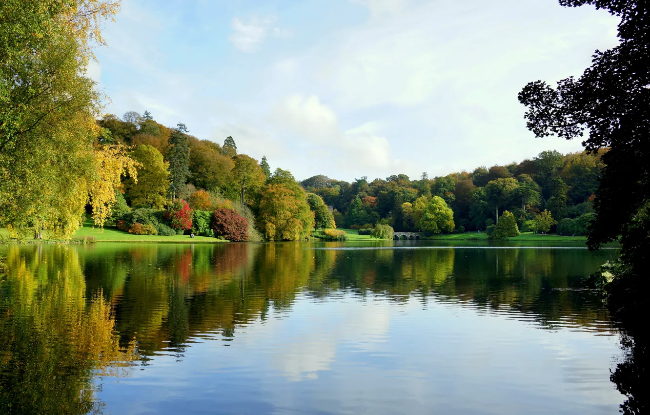 Photo wallpaper autumn, trees, bridge, Park, pond.