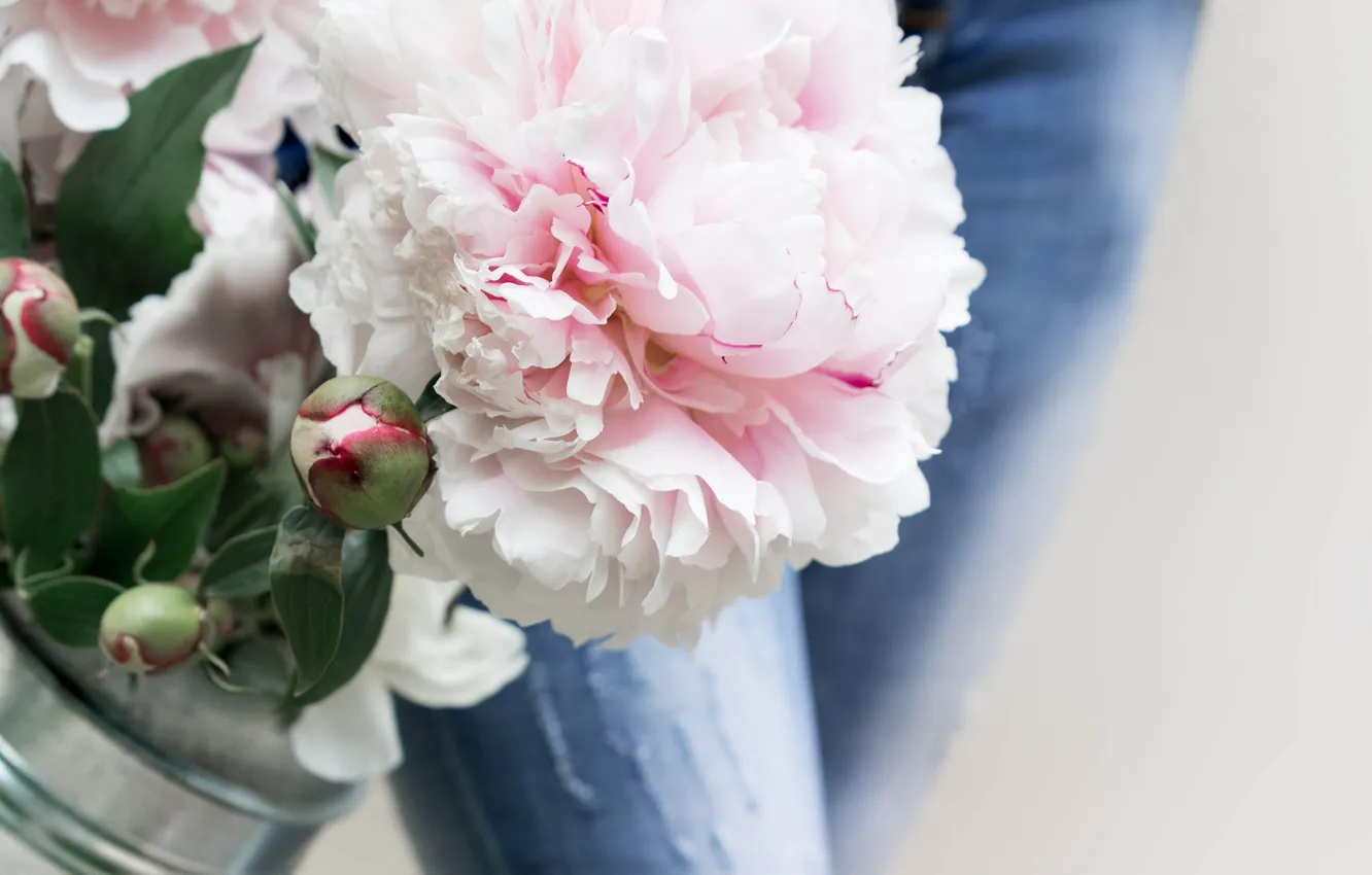 Photo wallpaper flowers, pink, peonies