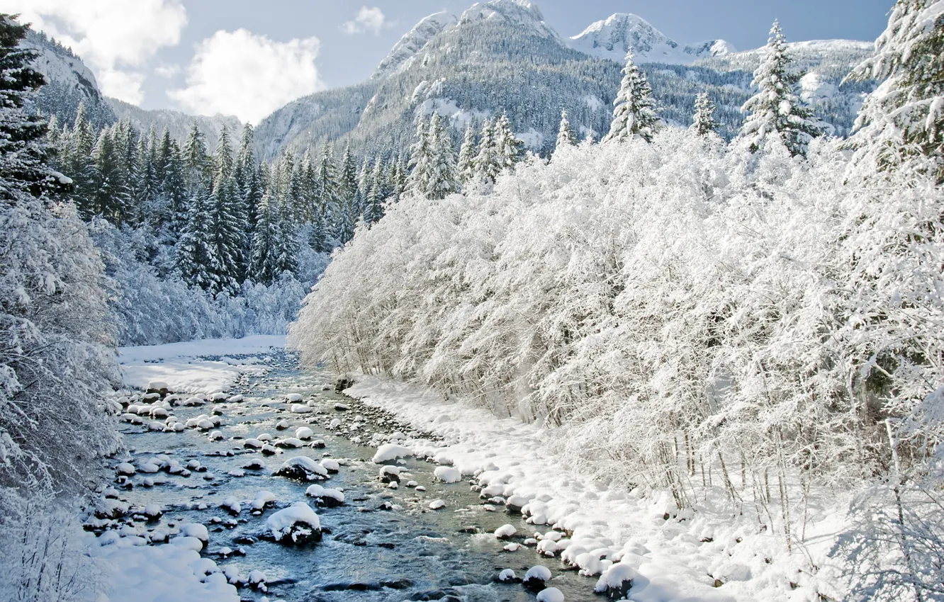 Photo wallpaper winter, trees, mountains, nature