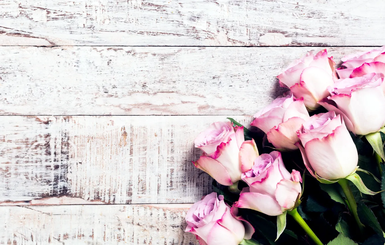 Photo wallpaper flowers, roses, bouquet, pink, wood, pink, flowers, roses