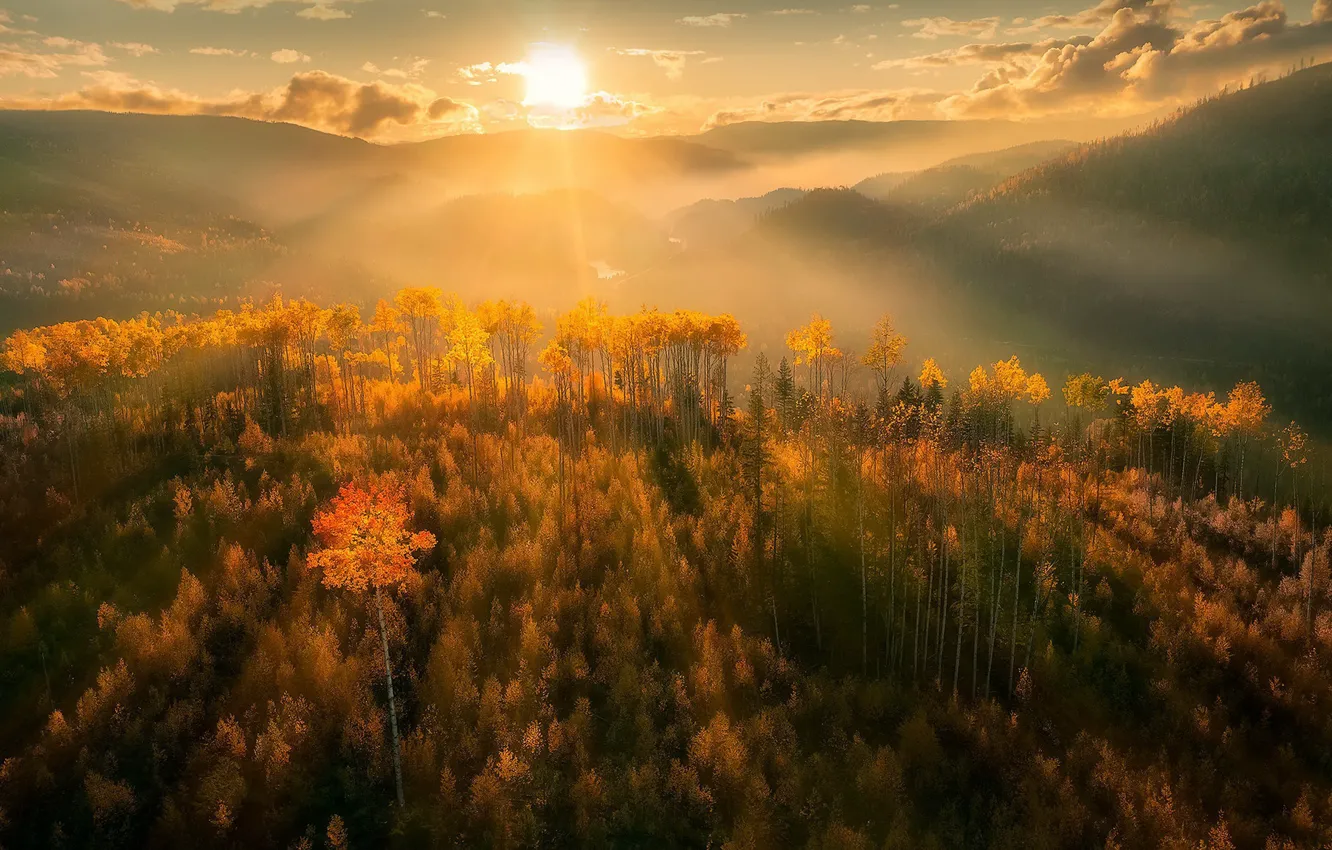 Photo wallpaper autumn, light, fog, morning