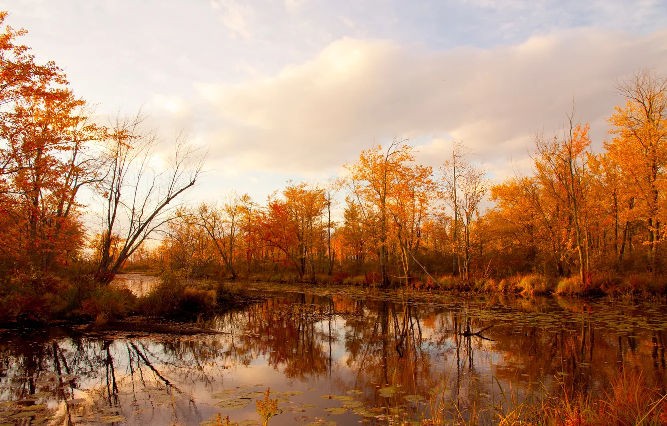 Photo wallpaper autumn, the sky, clouds, trees, river