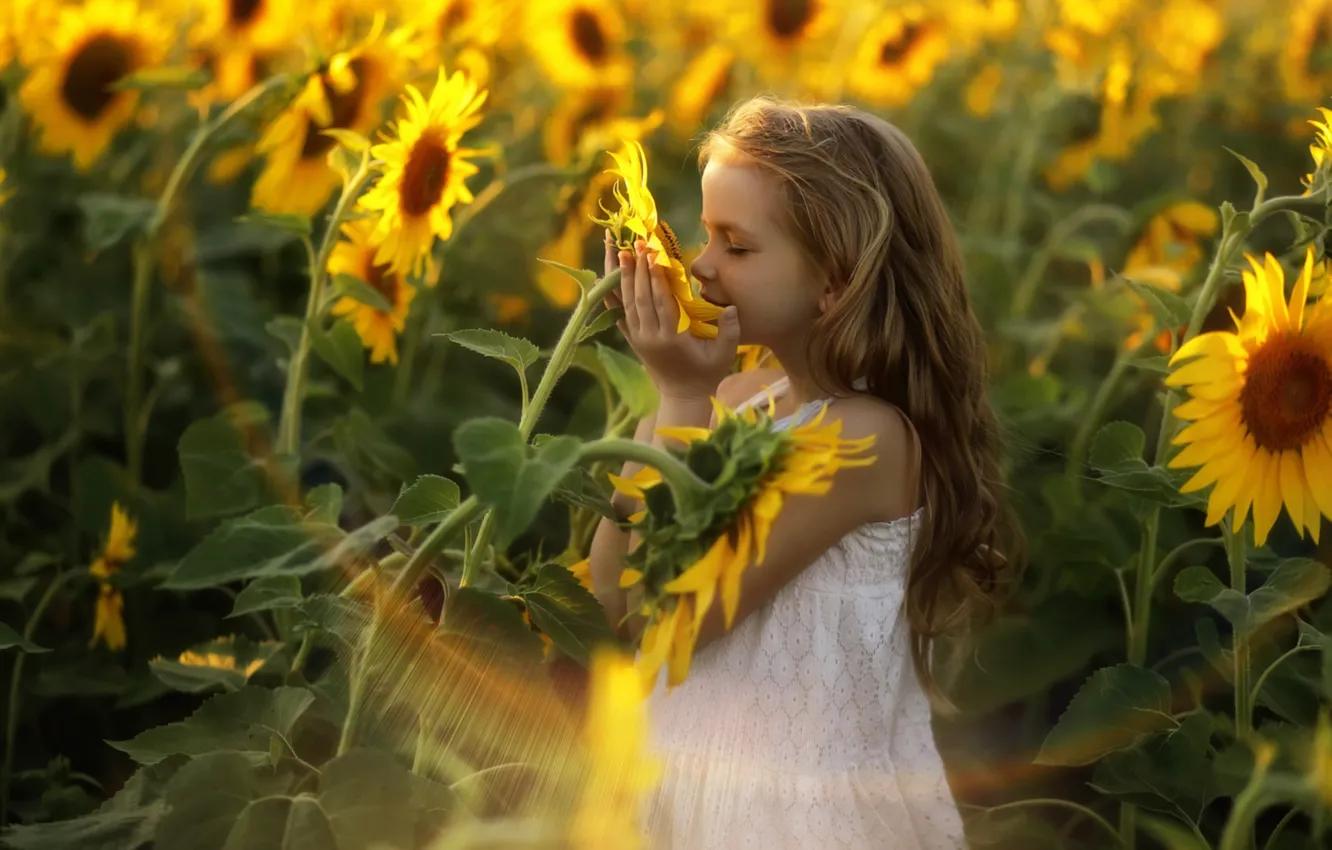 Photo wallpaper light, happiness, sunflowers, girl