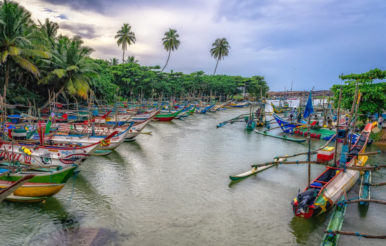 Photo wallpaper Sri Lanka, Andrey Vasilyev, Fishermen's Harbor
