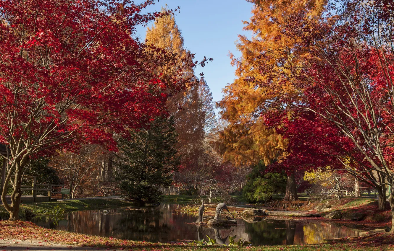 Photo wallpaper autumn, trees, pond, Gibbs Gardens