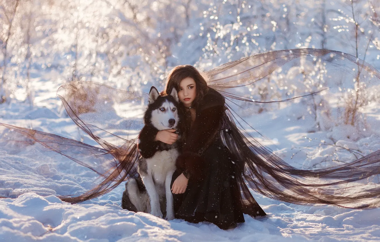 Photo wallpaper winter, girl, snow, pose, dog, friends, husky, Julia Tagashova
