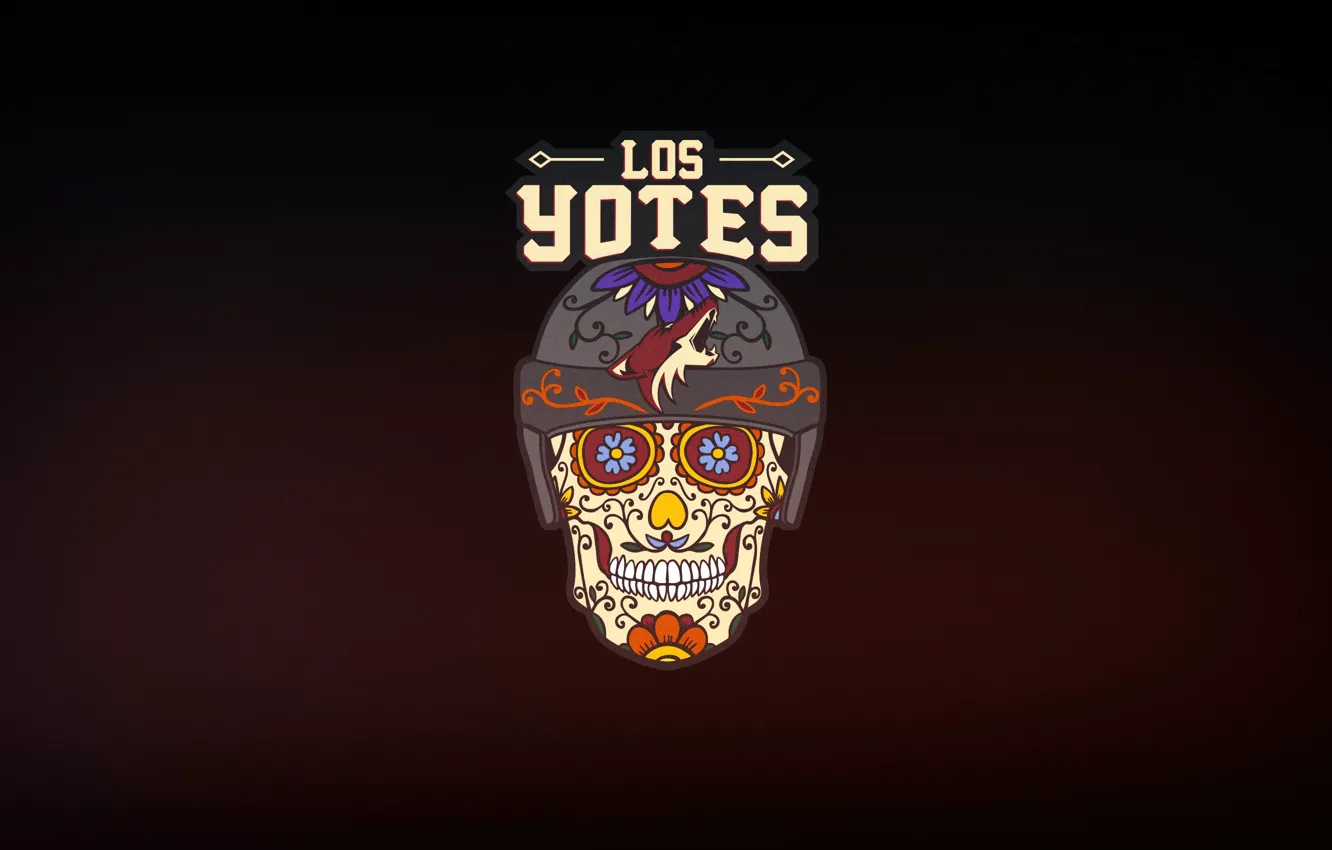 Photo wallpaper style, skull, minimalism, art, team, sake, logo, hockey