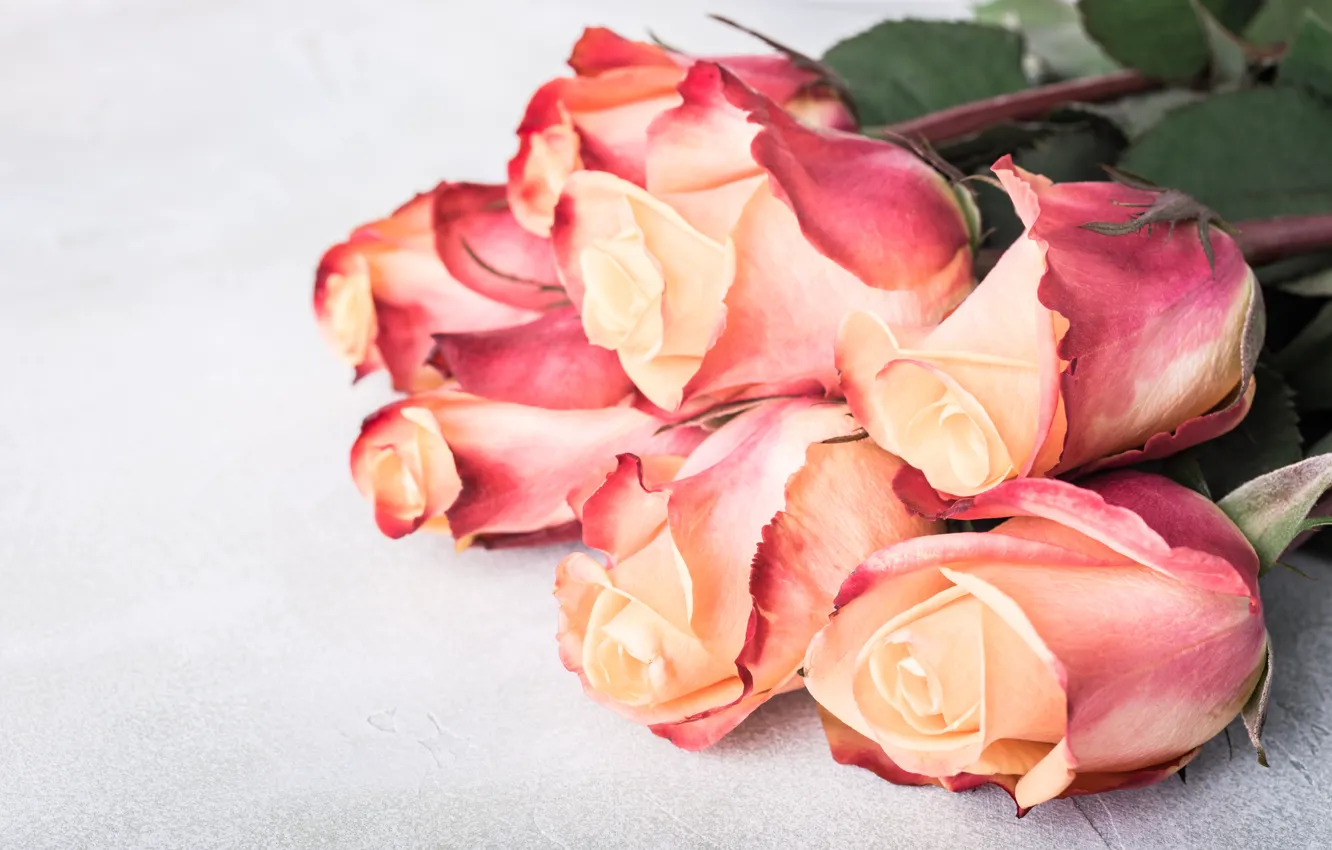 Photo wallpaper roses, bouquet, beautiful, Iryna Melnyk