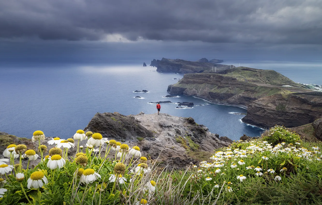 Photo wallpaper sea, flowers, mountains, rocks, people, chamomile