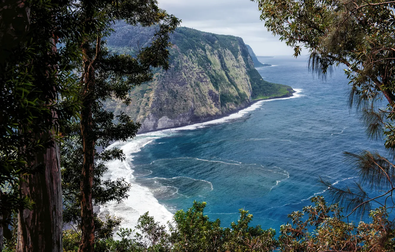 Photo wallpaper Nature, Rock, Hawaii, Trunk, USA, Coast, Waipio Valley