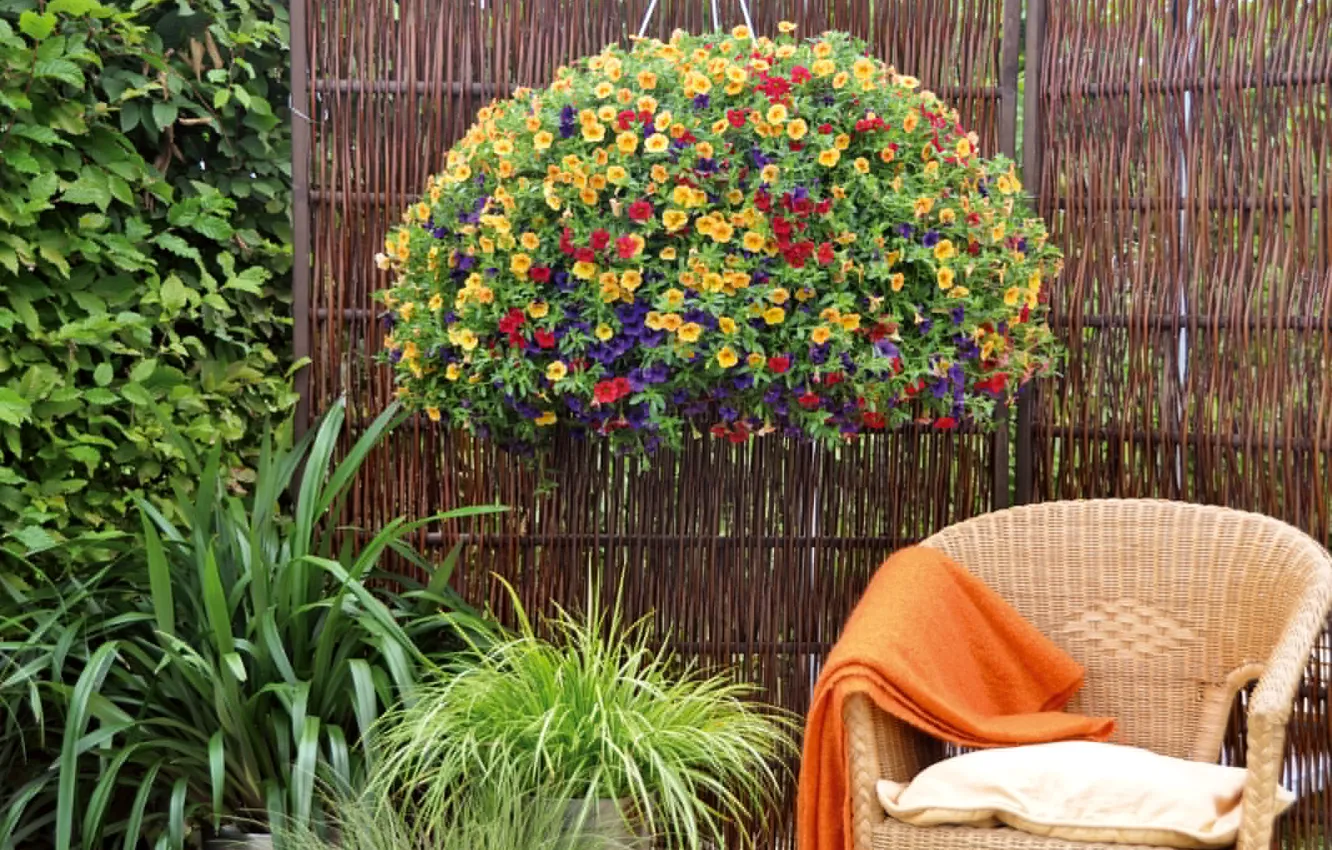 Photo wallpaper flowers, stay, chair, garden, the bushes, calibrachoa