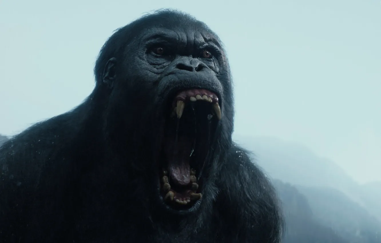 Photo wallpaper movie, gorilla, fangs, The, Legend, roar, year, Movie