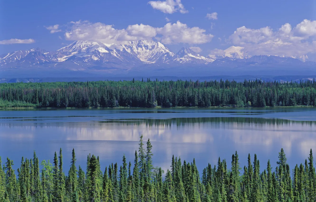 Photo wallpaper forest, mountains, river, Alaska, Alaska, Willow Lake and Mt. Wrangell, Wrangell Saint Elias National Park