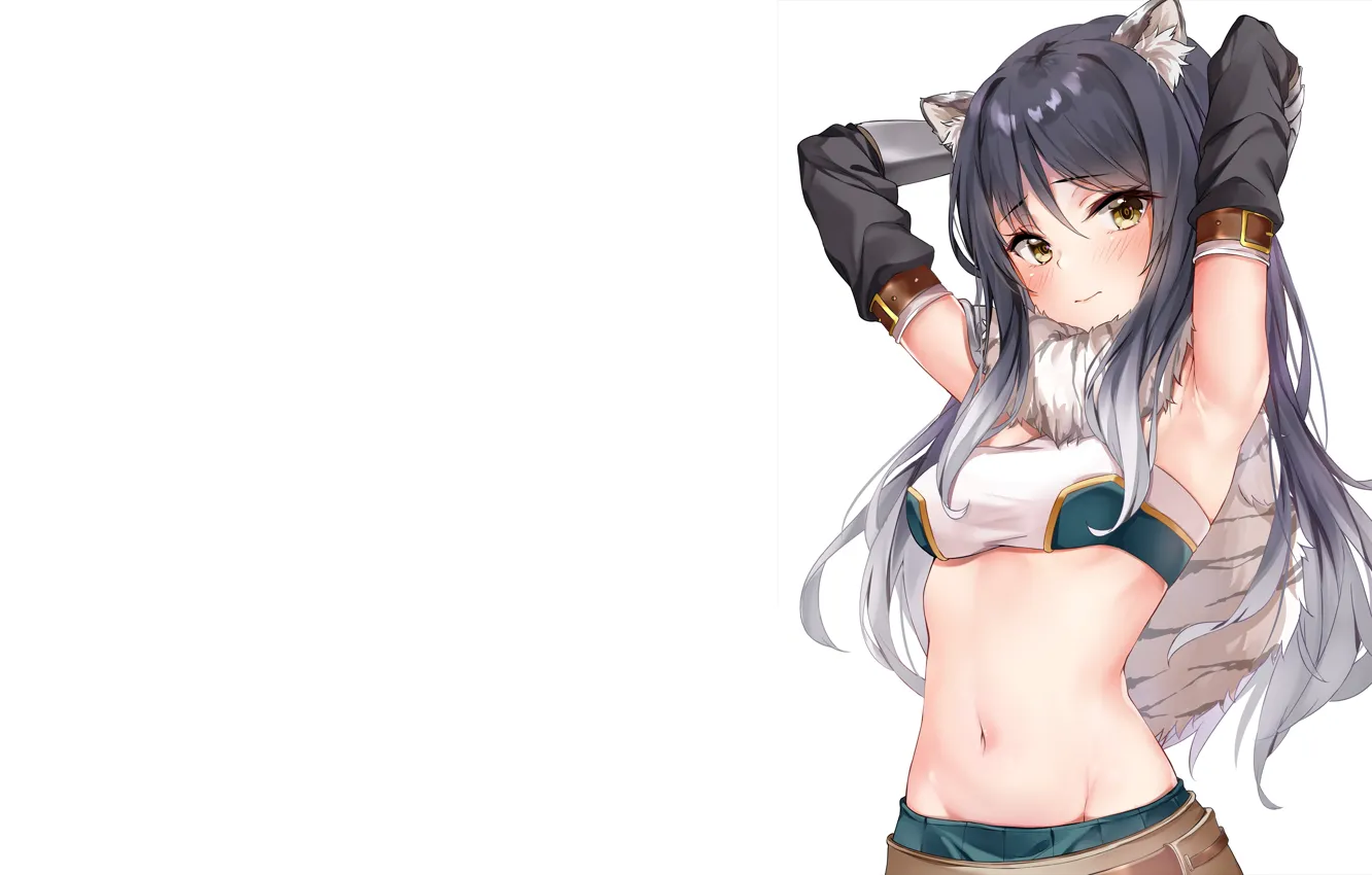 Photo wallpaper girl, sexy, long hair, animal ears, anime, beautiful, pretty, attractive