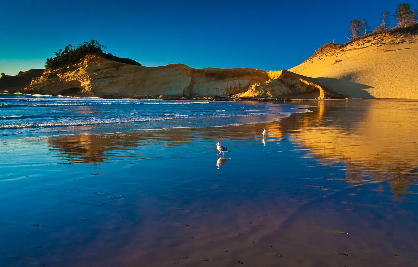 Photo wallpaper sea, the sky, rocks, bird, shore, seagulls