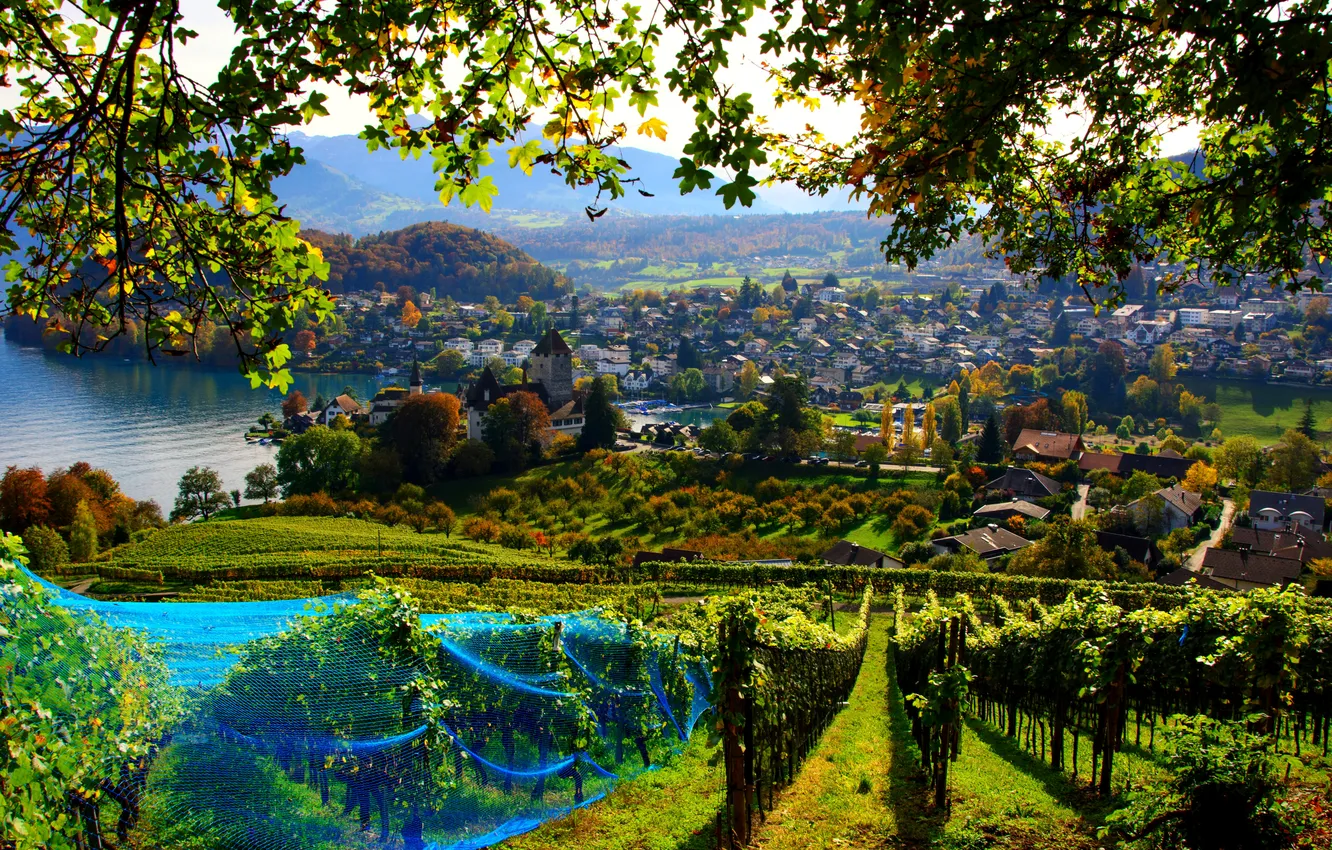 Photo wallpaper field, leaves, branches, the city, lake, mesh, home, Switzerland