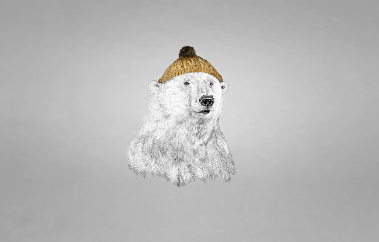 Photo wallpaper hat, polar bear, bear, dark background