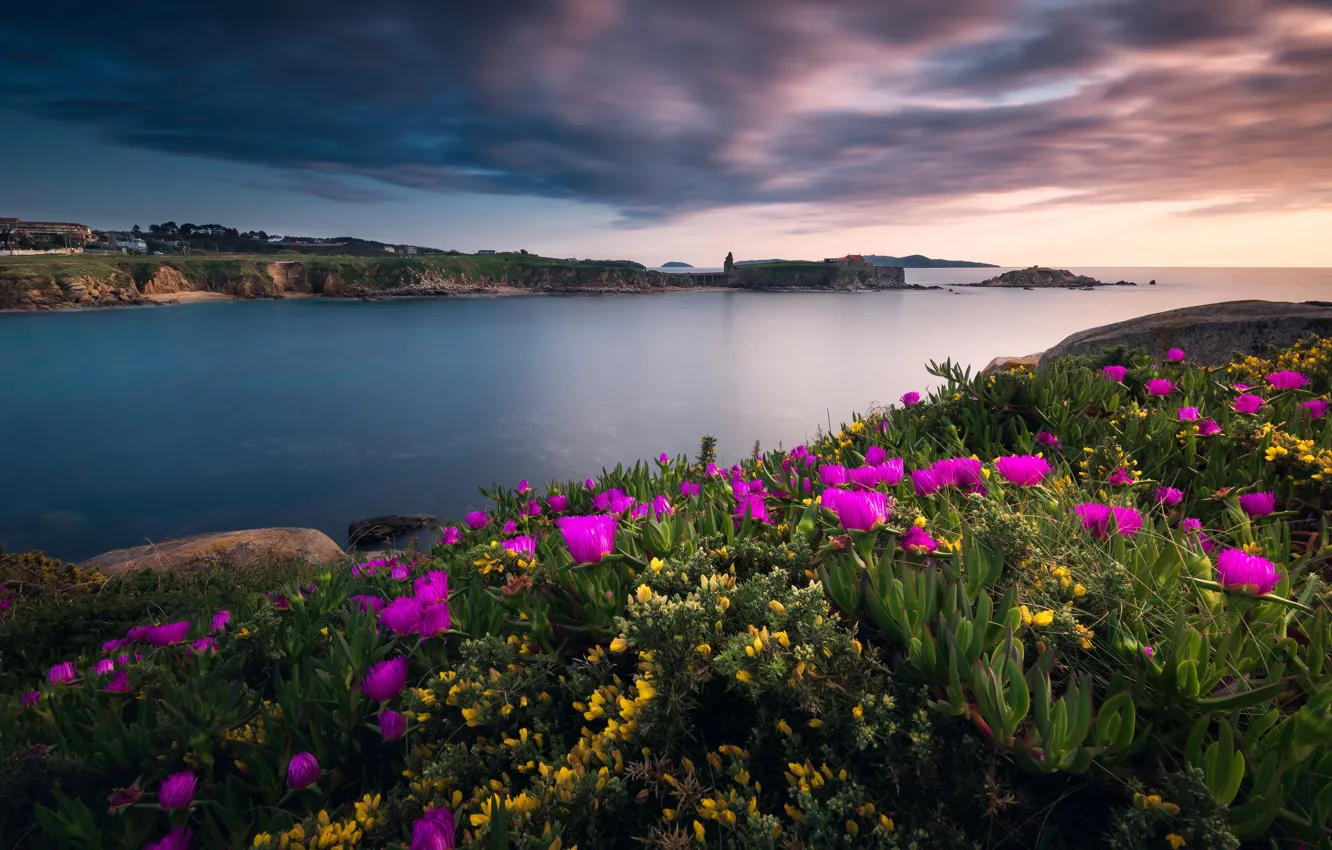 Photo wallpaper sea, the sky, clouds, flowers, yellow, stones, shore, beautiful