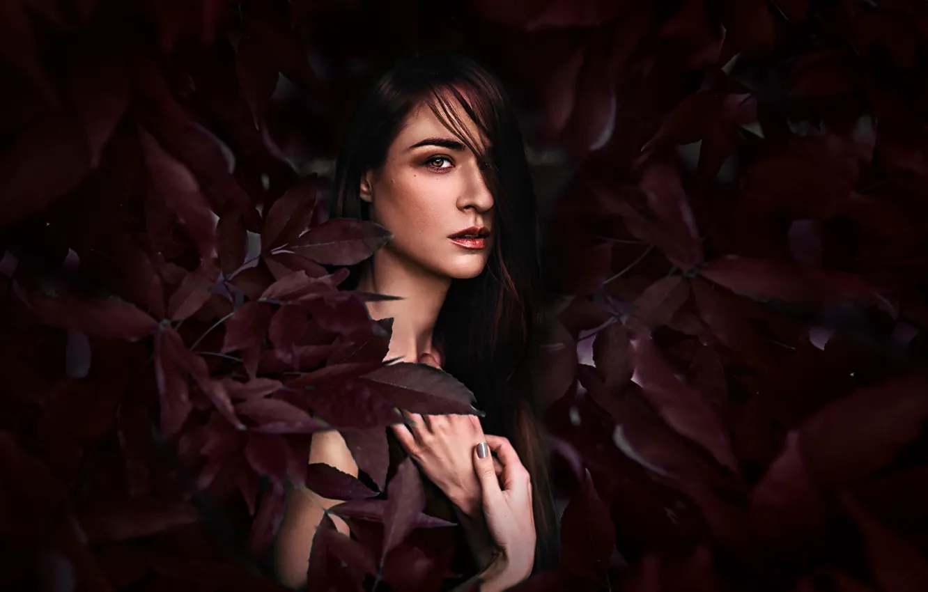 Photo wallpaper makeup, sponge, retouching, Tomas Bark, Milda