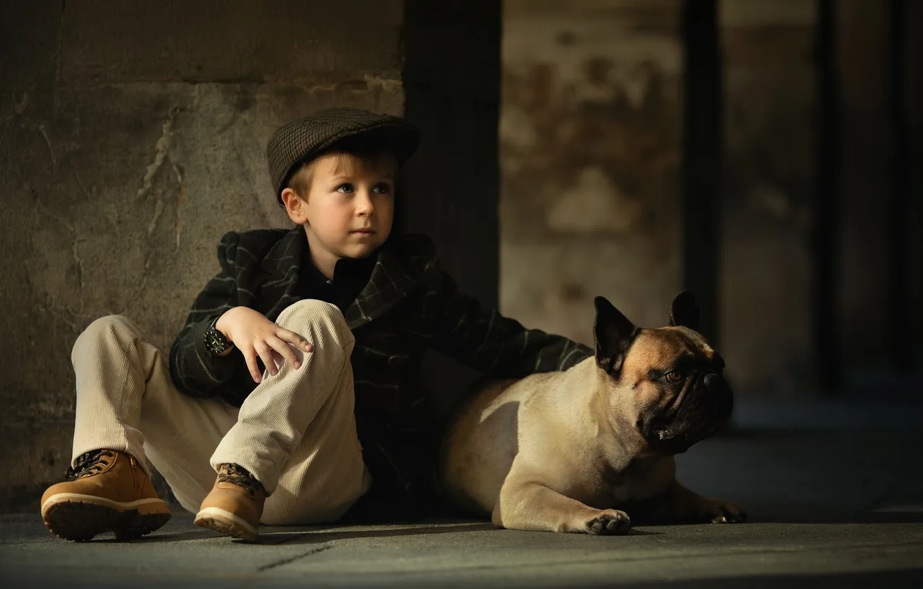 Photo wallpaper dog, boy, cap, French bulldog, Natalia Ponikarova
