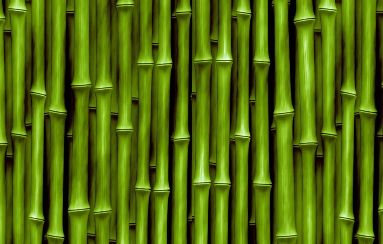 Photo wallpaper texture, bamboo, stem