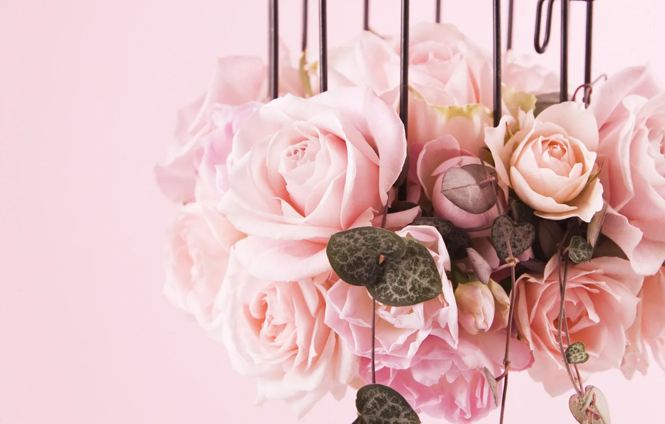 Photo wallpaper cell, roses, color