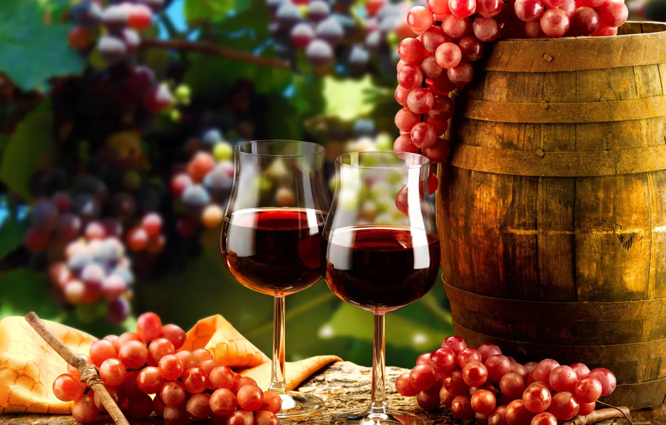 Photo wallpaper branches, wine, red, glasses, grapes, barrel