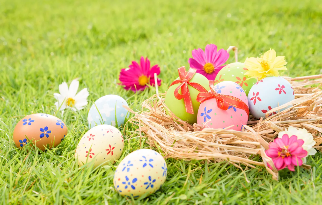 Photo wallpaper grass, flowers, eggs, Easter, happy, flowers, eggs, easter