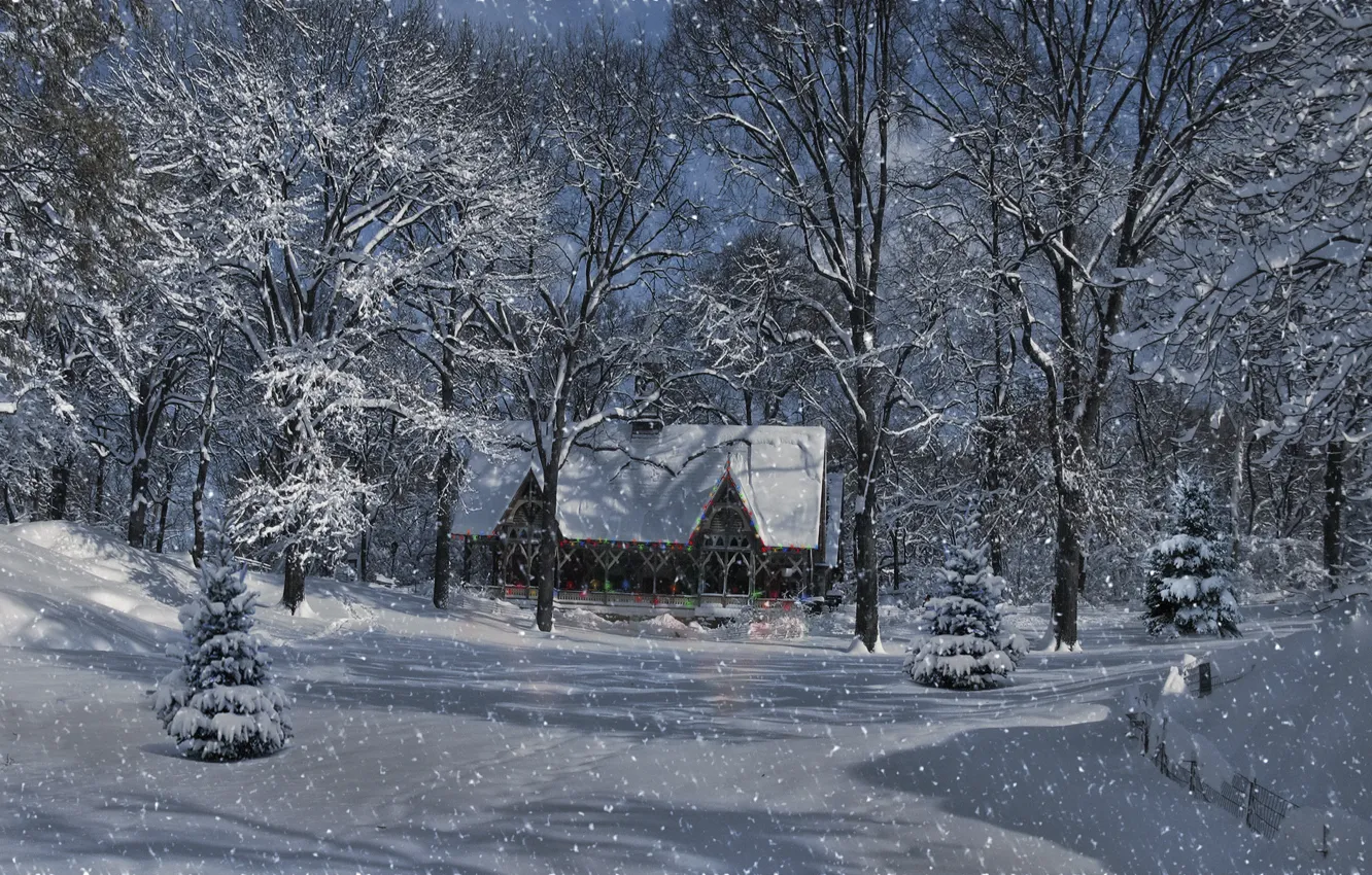 Photo wallpaper winter, forest, snow, trees, landscape, lights, house, light bulb