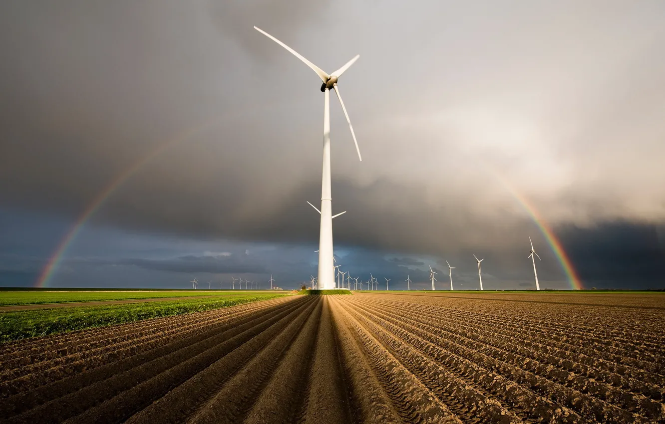 Photo wallpaper field, rainbow, windmills