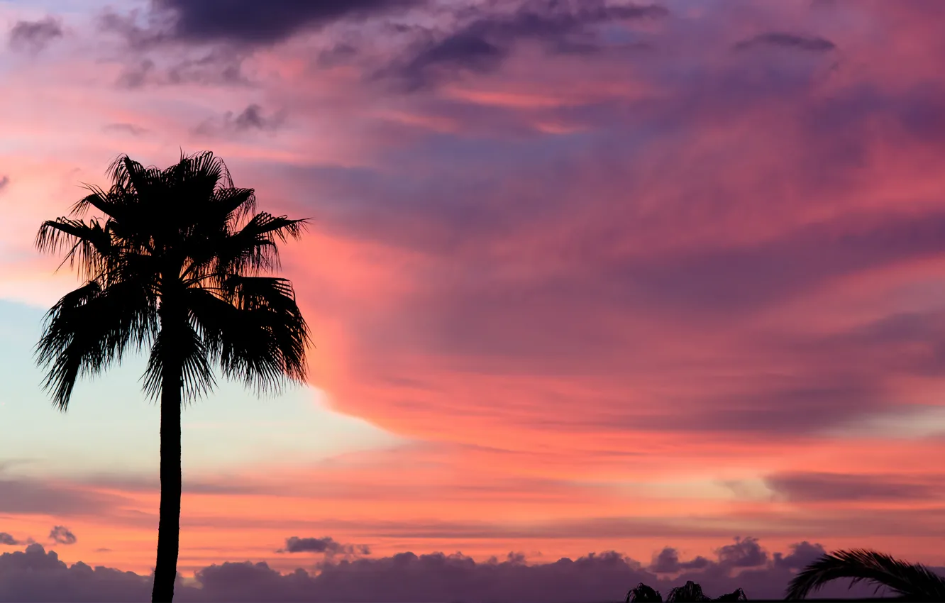 Photo wallpaper the sky, clouds, sunset, Palma, pink, paint, Sunset, Tenerife