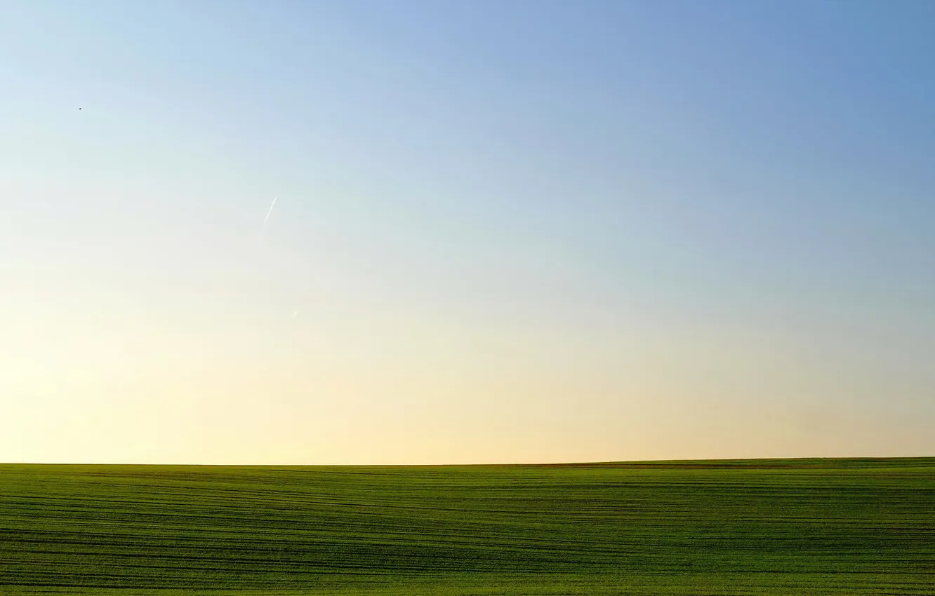 Photo wallpaper field, the sky, landscape