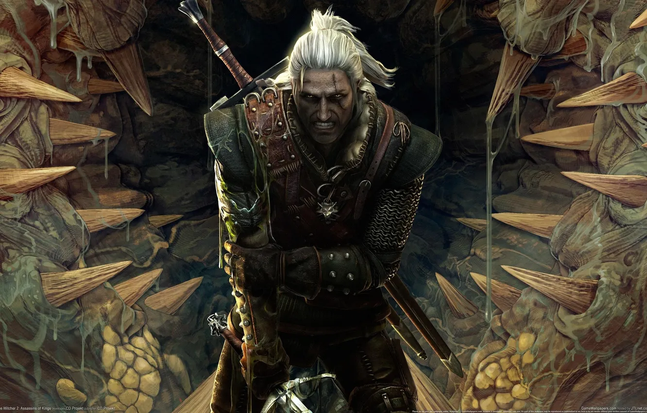 Photo wallpaper The Witcher, The Witcher, assassins of kings