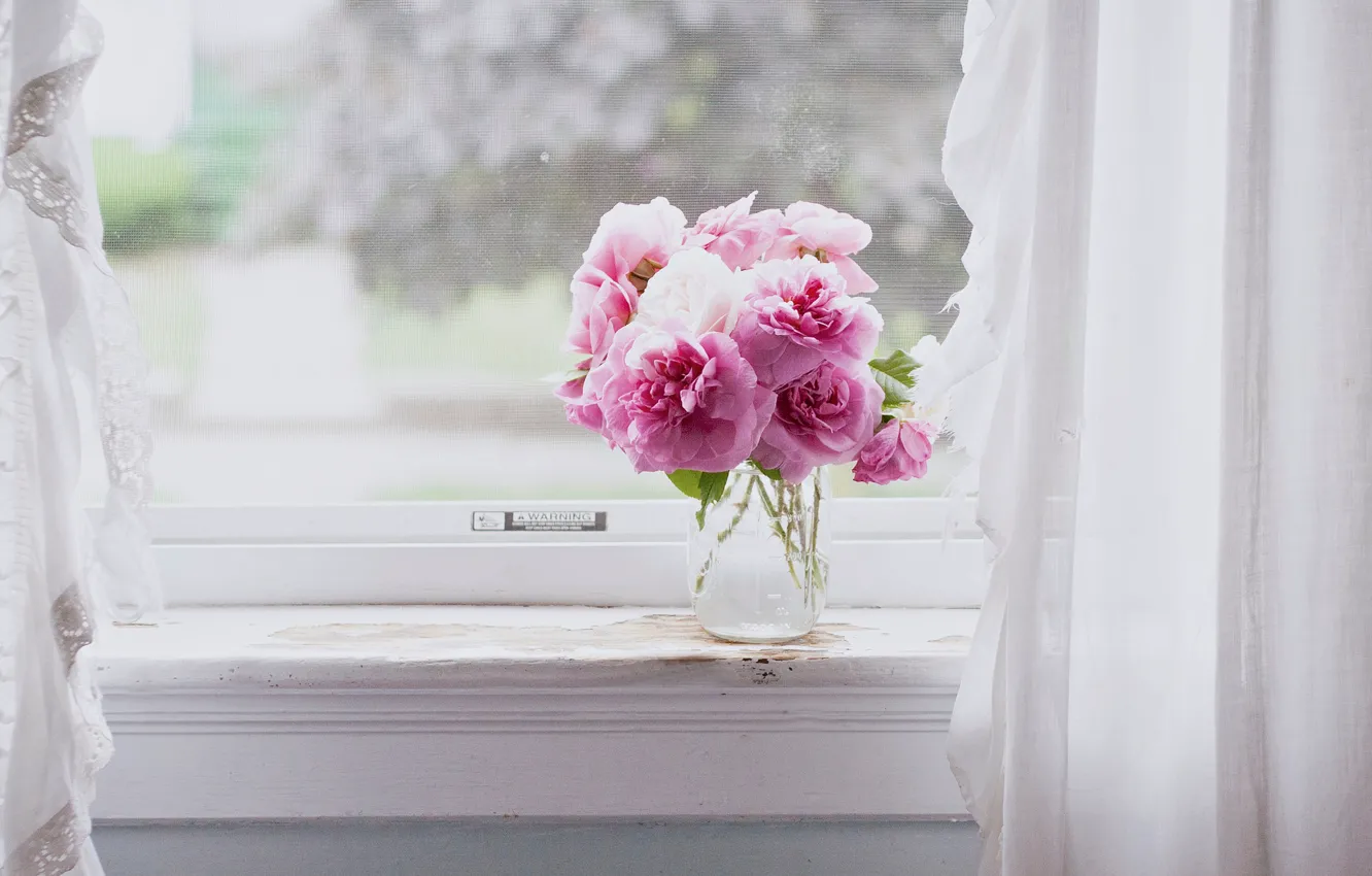 Photo wallpaper flowers, pink, Windows, still life, pink flowers