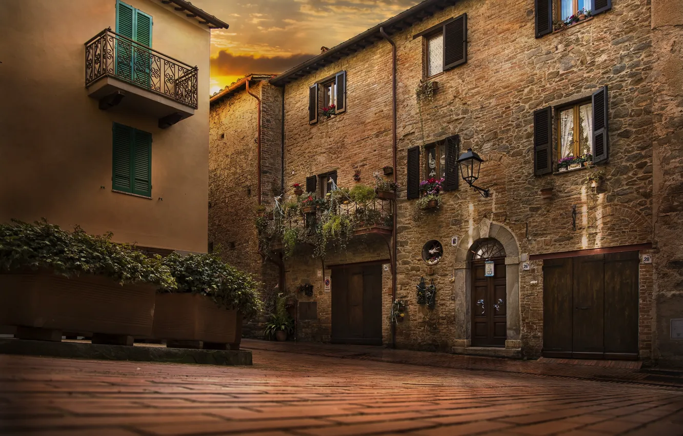 Photo wallpaper clouds, light, flowers, dawn, home, the door, area, window