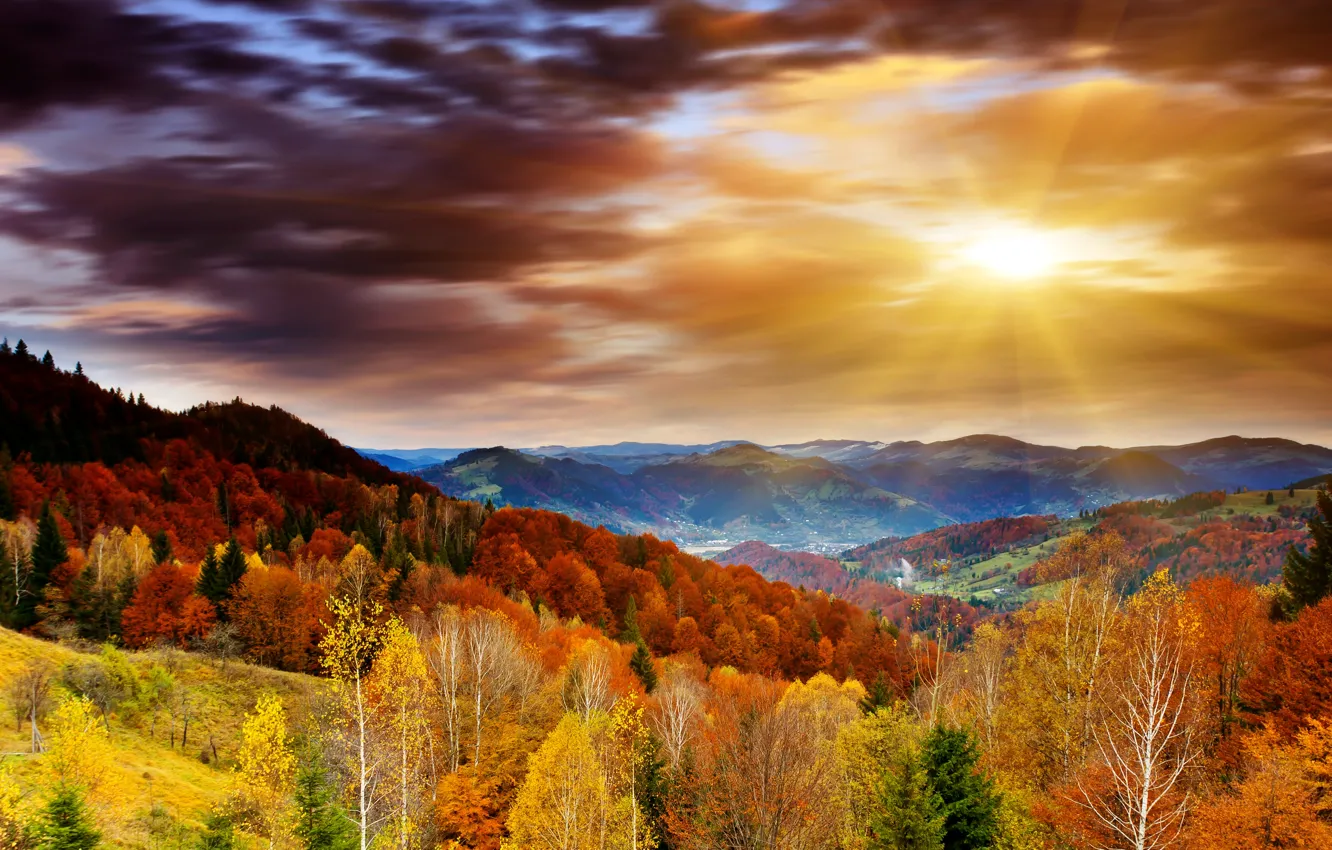 Photo wallpaper autumn, forest, the sky, clouds, trees, mountains, dawn, the rays of the sun