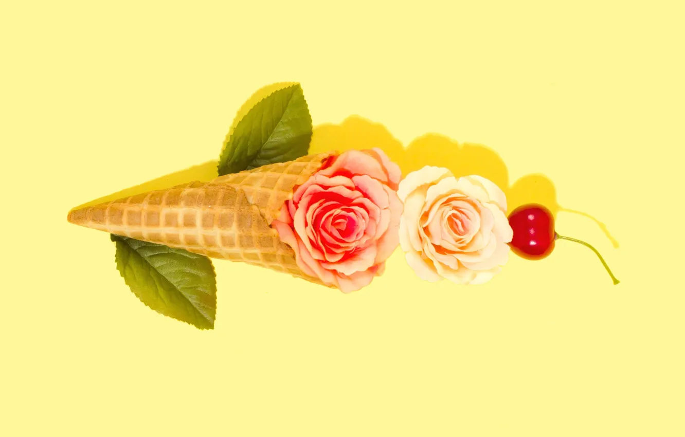 Photo wallpaper flowers, background, decor, waffle cone