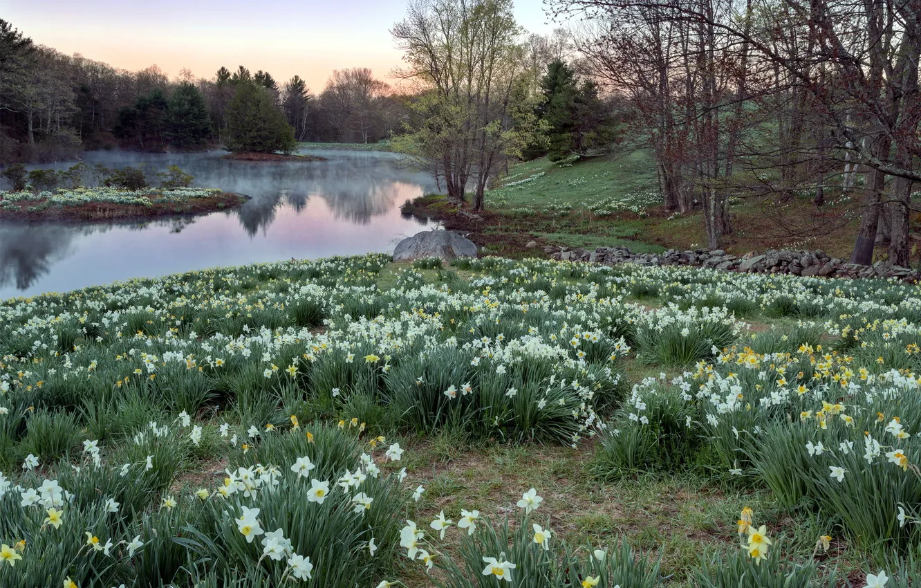 Photo wallpaper landscape, flowers, nature, river