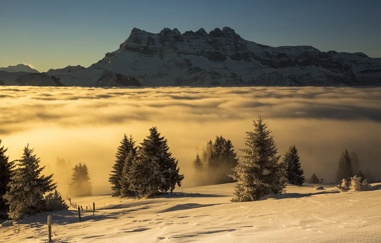 Photo wallpaper landscape, mountains, morning