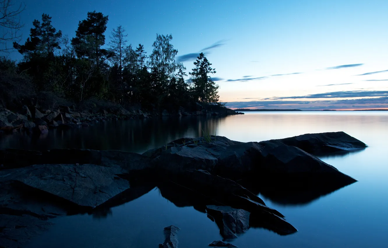 Photo wallpaper trees, stones, dawn, morning, Bay