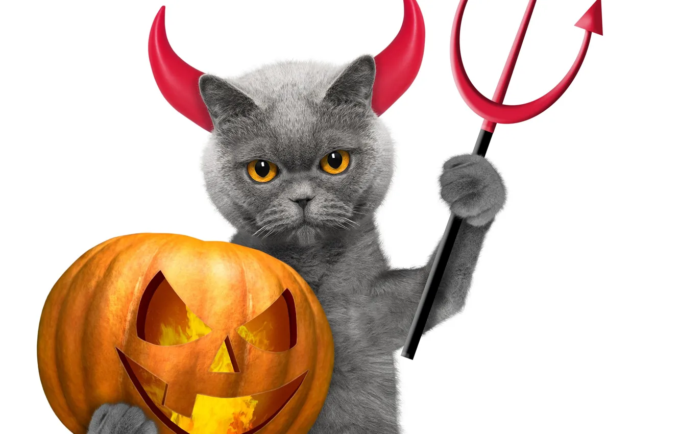 Photo wallpaper cat, holiday, the demon, Halloween